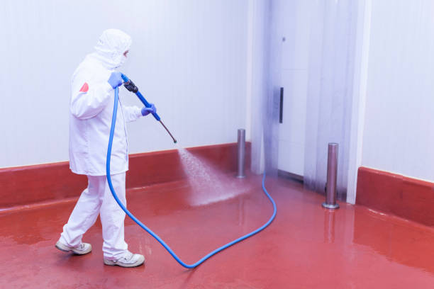 Best Commercial Pressure Washing in Centralia, MO